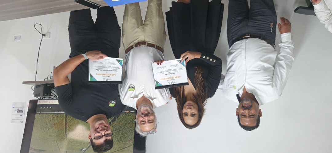 AliaRSE por Campeche