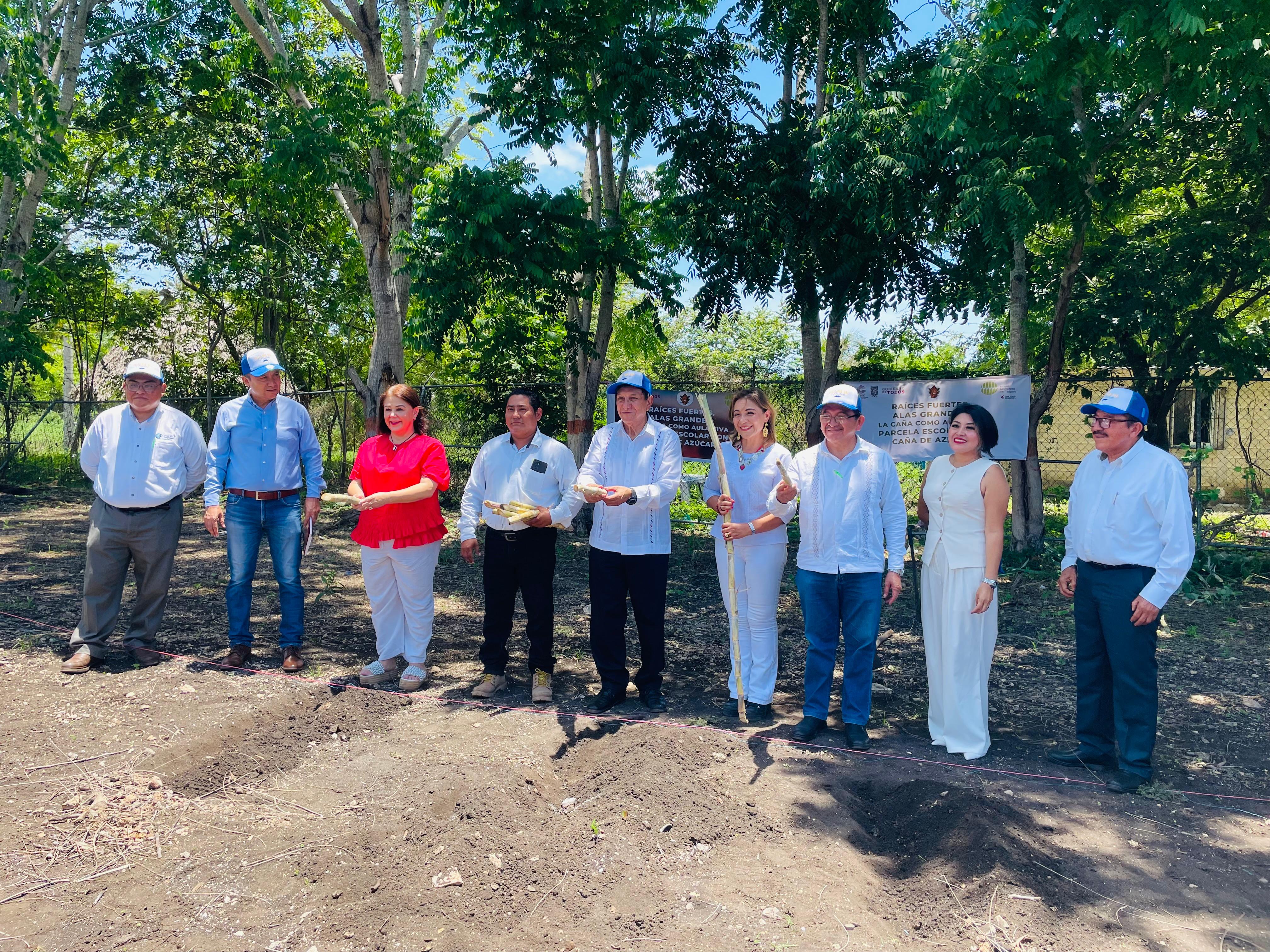 “Raíces Fuertes, Alas Grandes: la caña como aula viva”